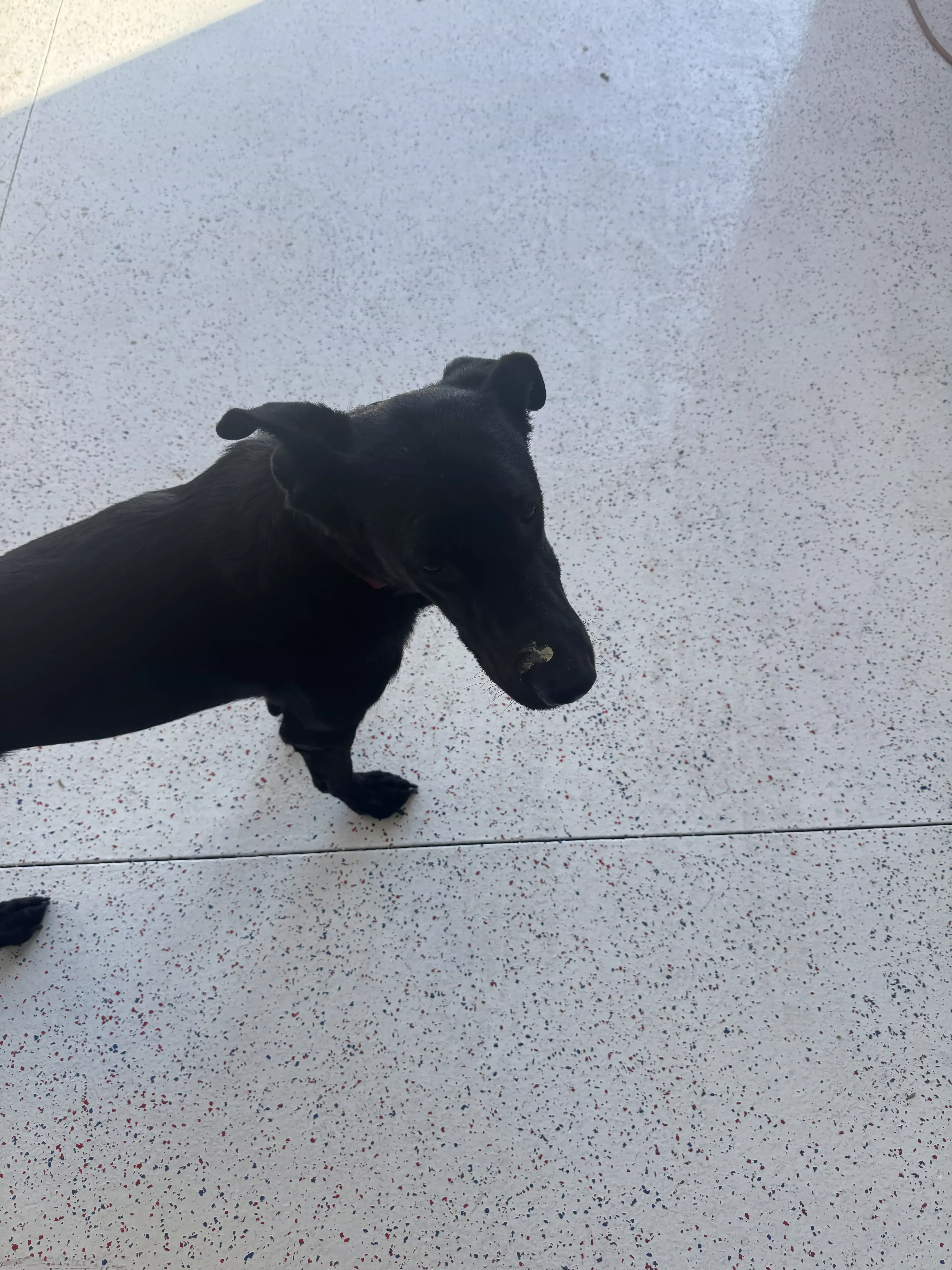 guinness looking up garage 01