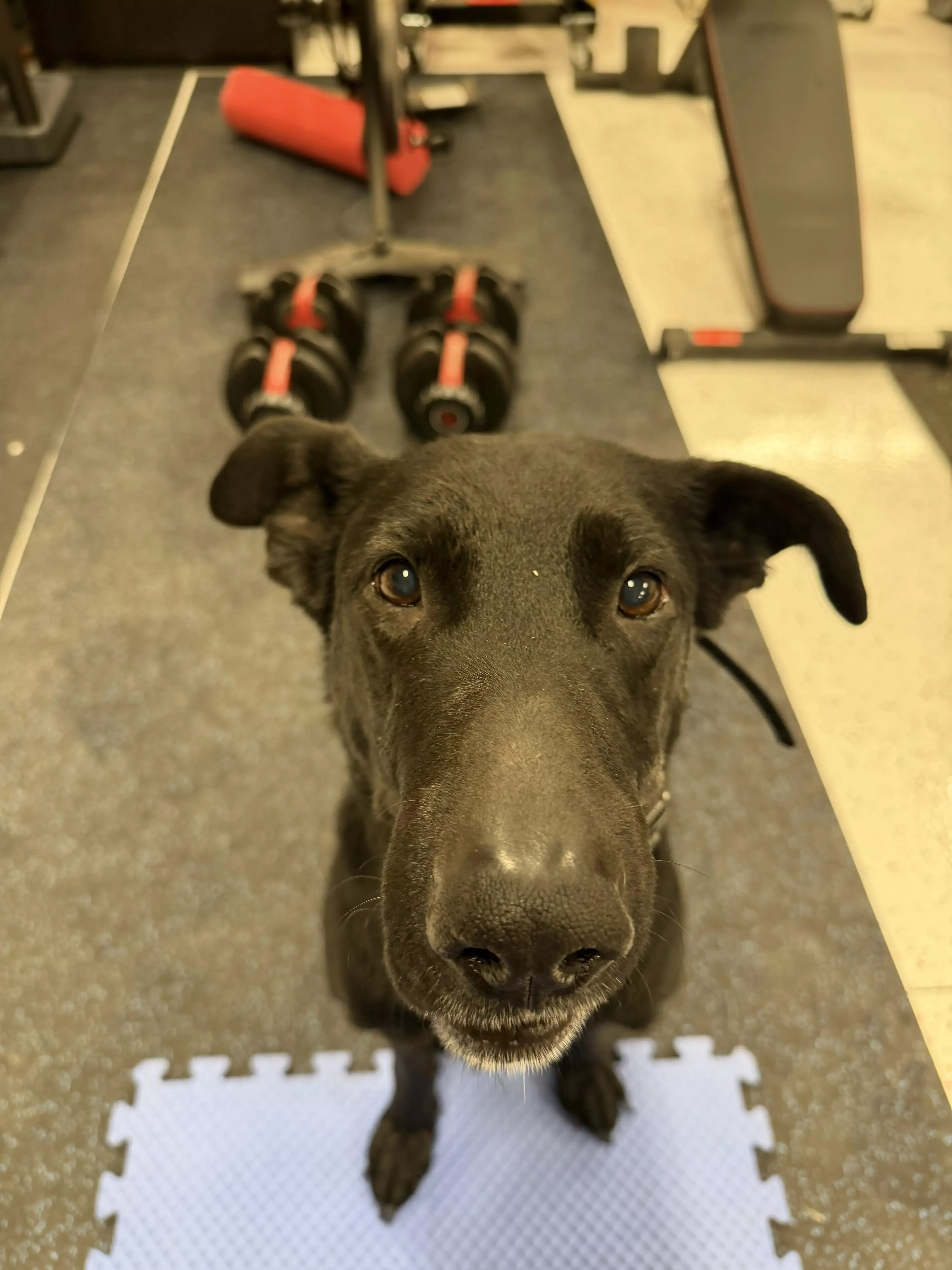 guinness night run action 02