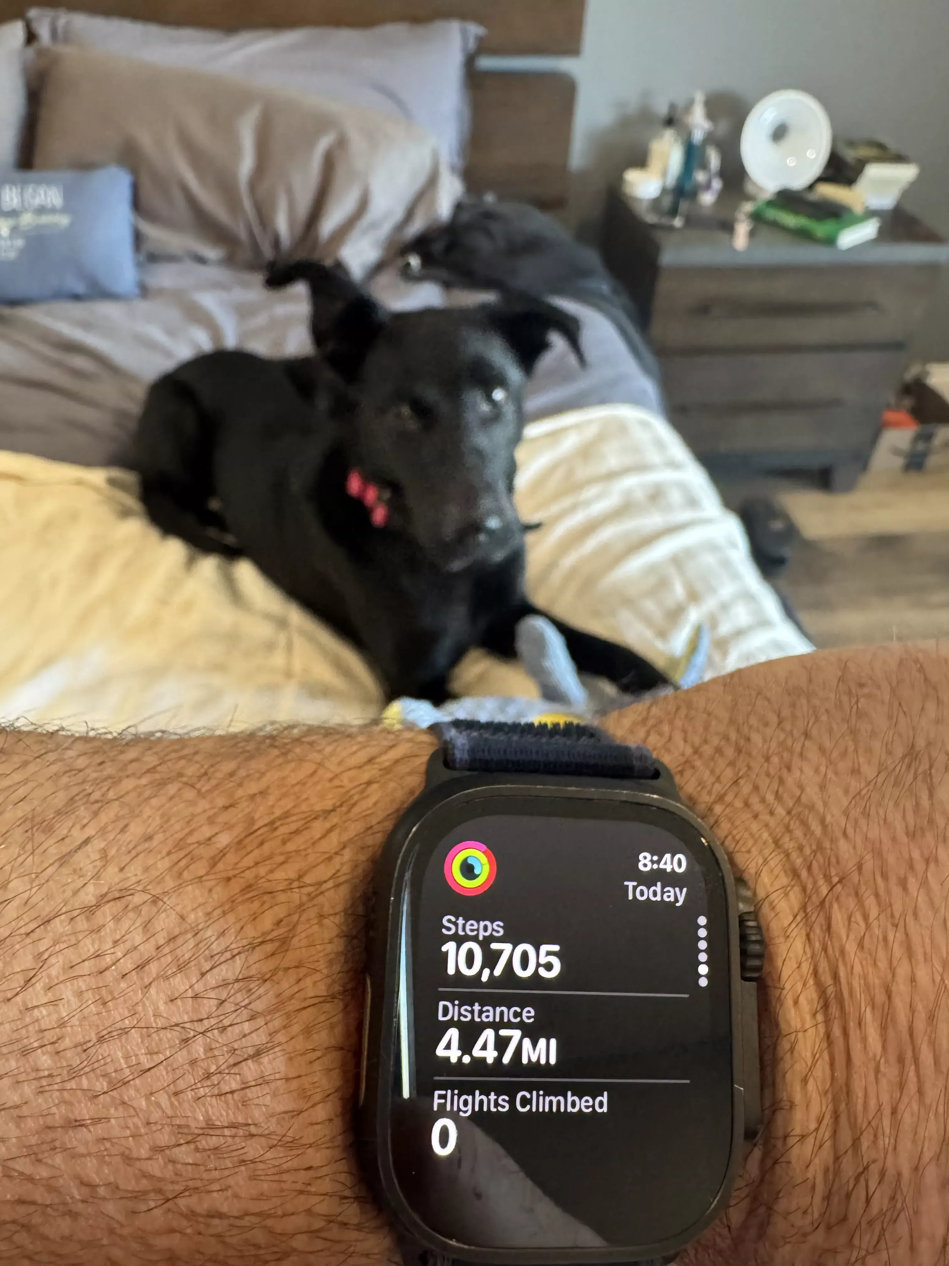 guinness on bed fitness watch 01