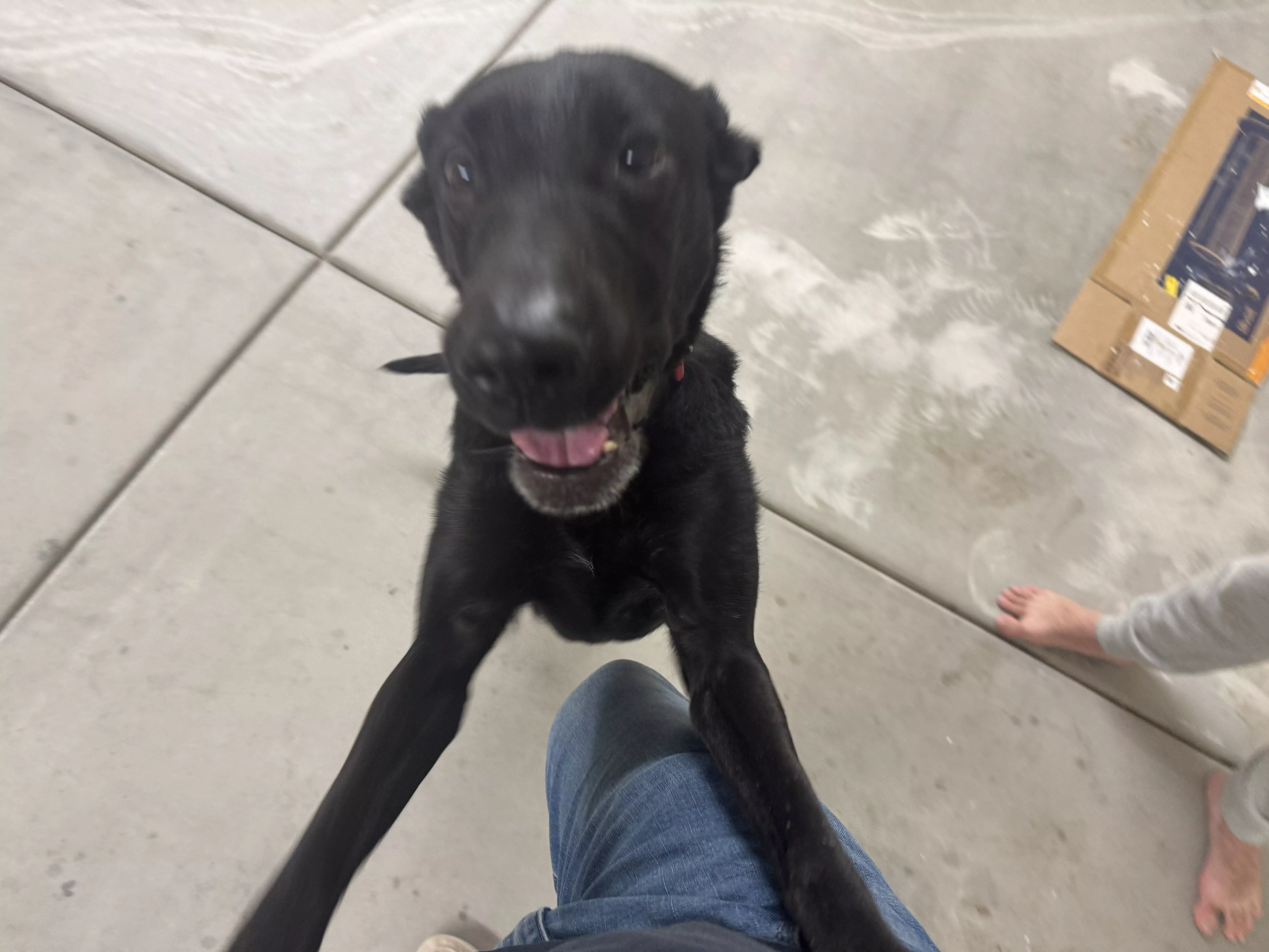 guinness playful jump garage 01