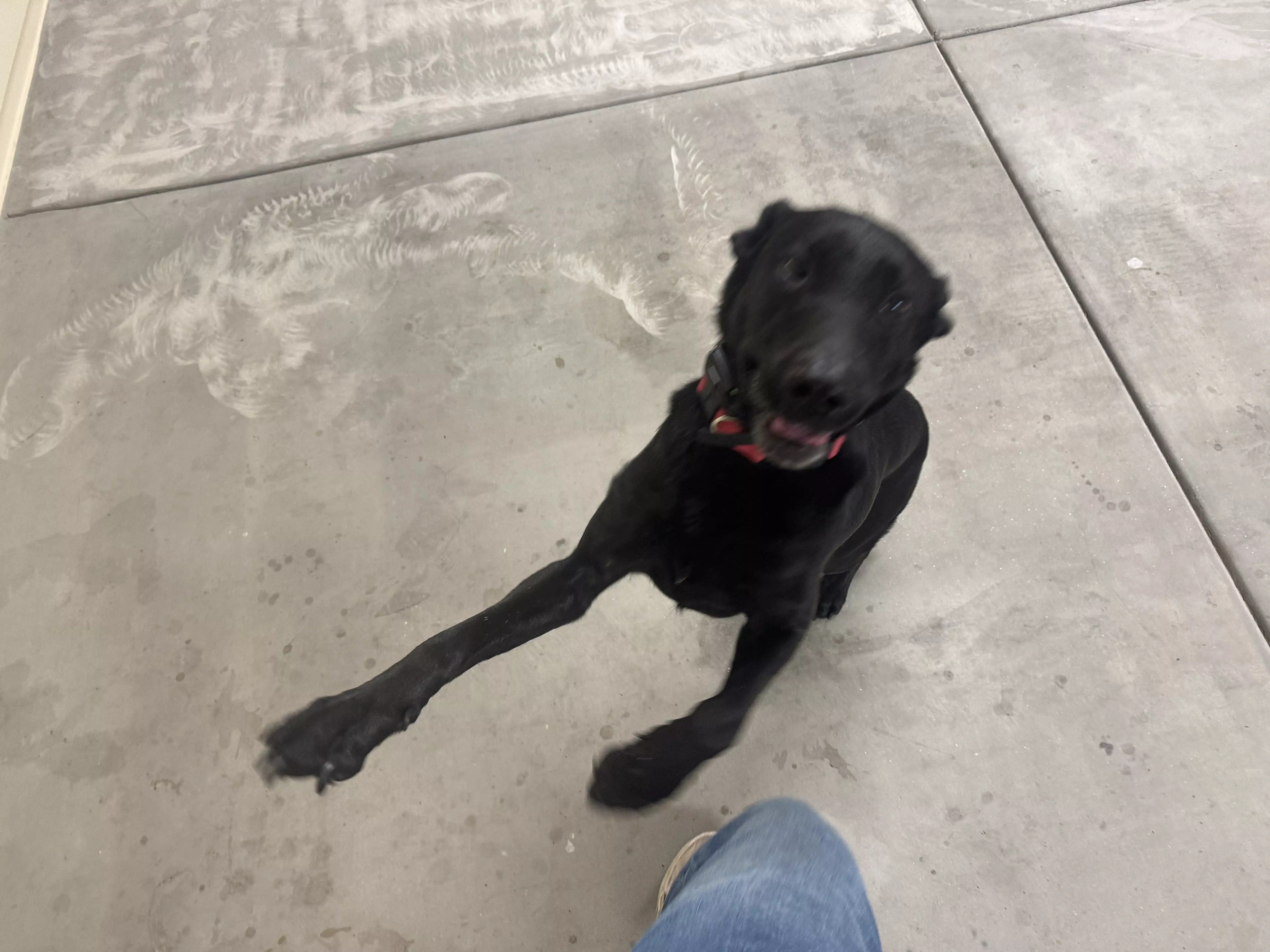 guinness sit play garage 01