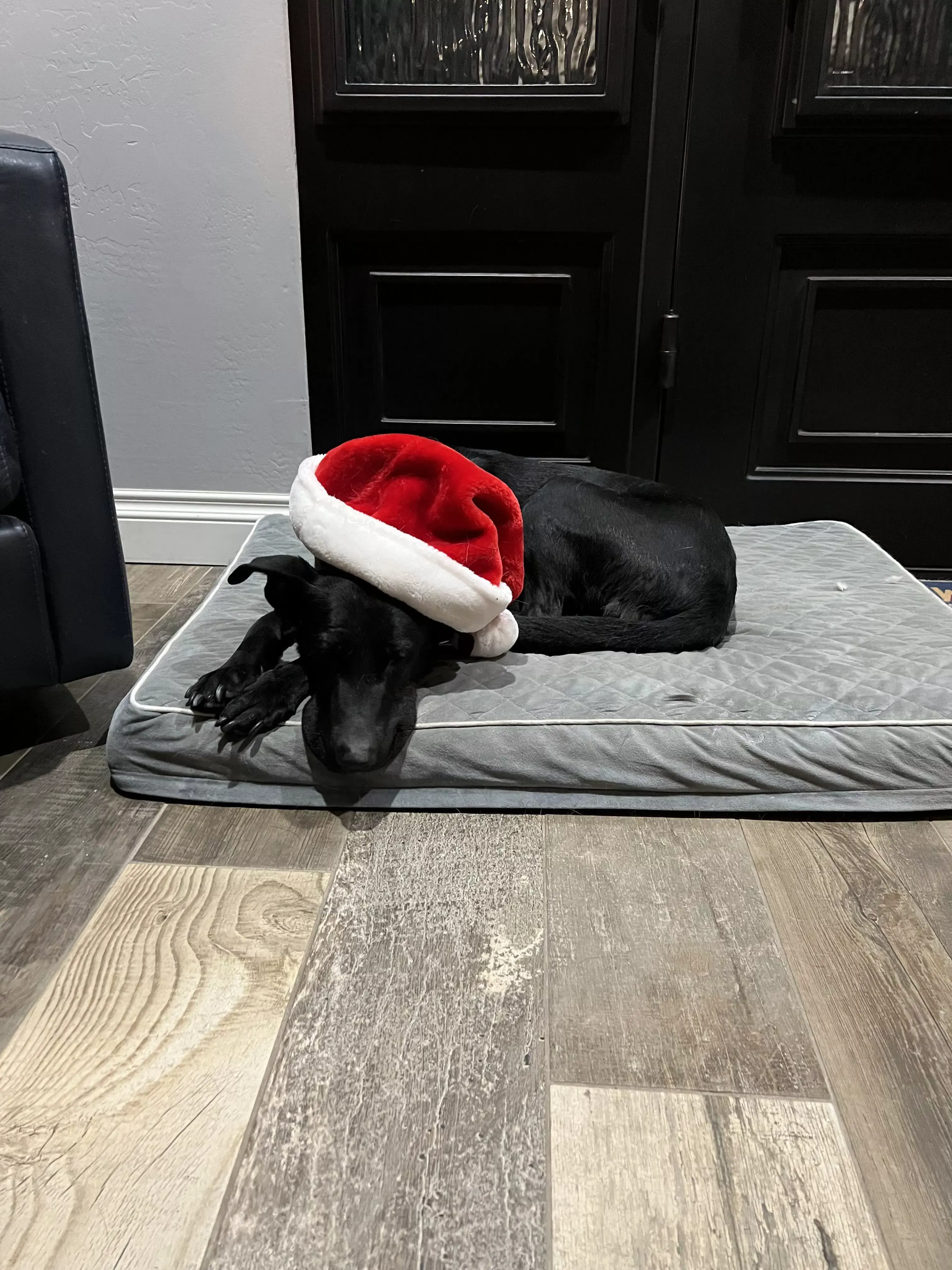 guinness sleeping santa hat 01