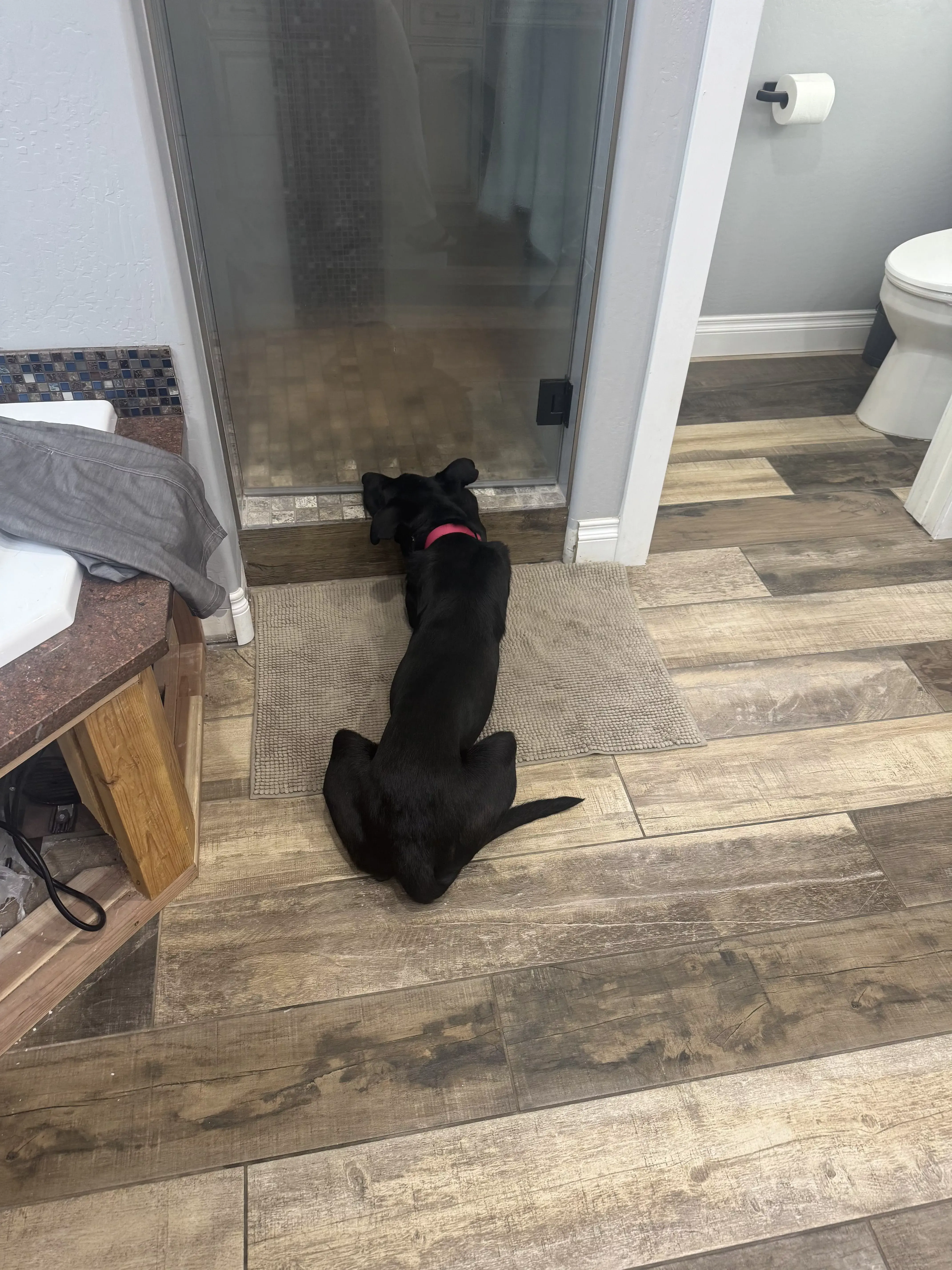 guinness waiting by shower 01